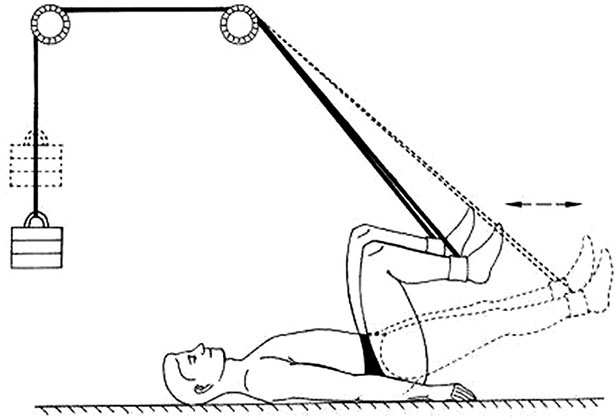 Иллюстрация к книге — Здоровый позвоночник [i_038.jpg]
