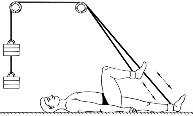 Иллюстрация к книге — Здоровый позвоночник [i_041.jpg]