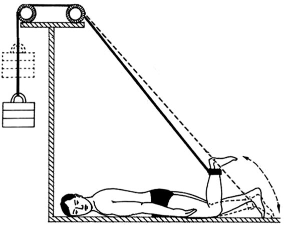Иллюстрация к книге — Здоровый позвоночник [i_042.jpg]