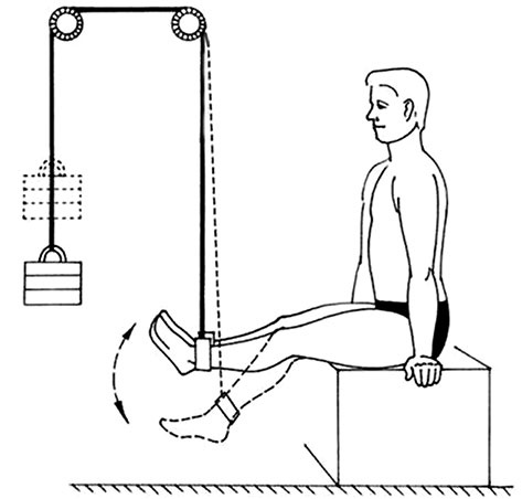 Иллюстрация к книге — Здоровый позвоночник [i_043.jpg]