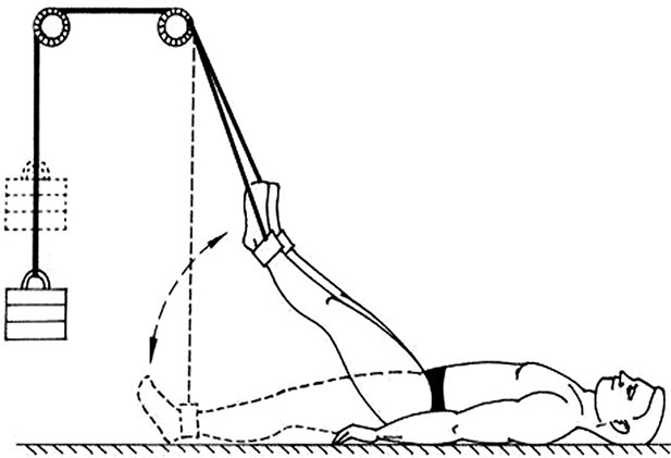 Иллюстрация к книге — Здоровый позвоночник [i_052.jpg]