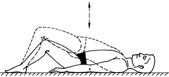 Иллюстрация к книге — Здоровый позвоночник [i_054.jpg]