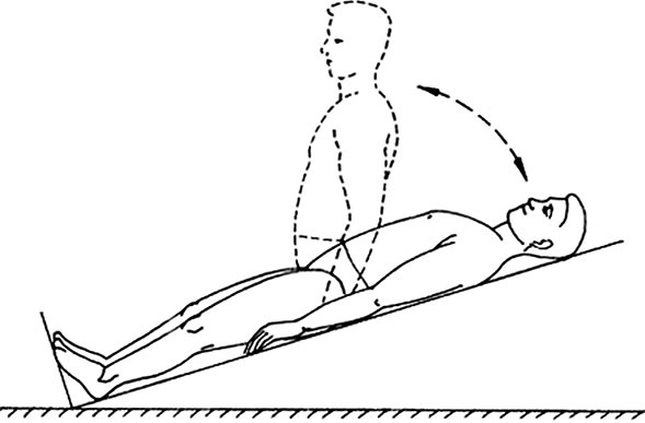 Иллюстрация к книге — Здоровый позвоночник [i_055.jpg]