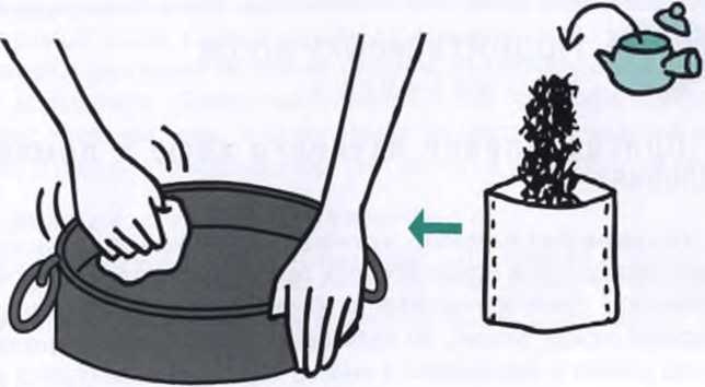 Иллюстрация к книге — Маленькие японские хитрости [i_038.jpg]