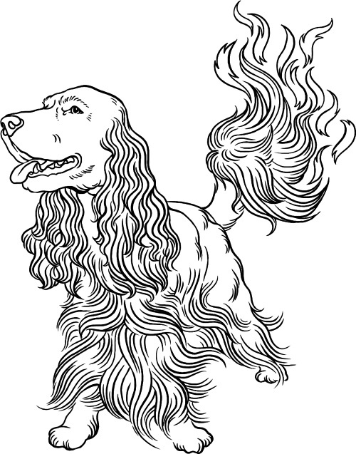 Иллюстрация к книге — О людях, котах и маленьких собаках [i_004.jpg]