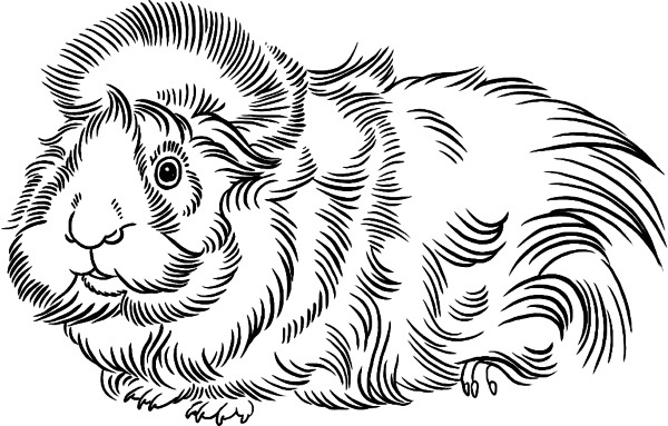 Иллюстрация к книге — О людях, котах и маленьких собаках [i_006.jpg]