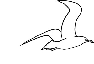 Иллюстрация к книге — О людях, котах и маленьких собаках [i_022.jpg]