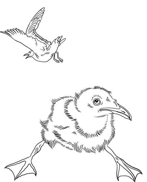 Иллюстрация к книге — О людях, котах и маленьких собаках [i_023.jpg]