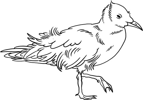 Иллюстрация к книге — О людях, котах и маленьких собаках [i_024.jpg]