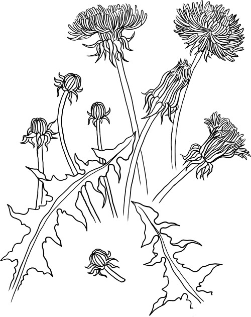 Иллюстрация к книге — О людях, котах и маленьких собаках [i_028.jpg]