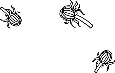 Иллюстрация к книге — О людях, котах и маленьких собаках [i_029.jpg]