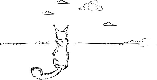 Иллюстрация к книге — О людях, котах и маленьких собаках [i_030.jpg]