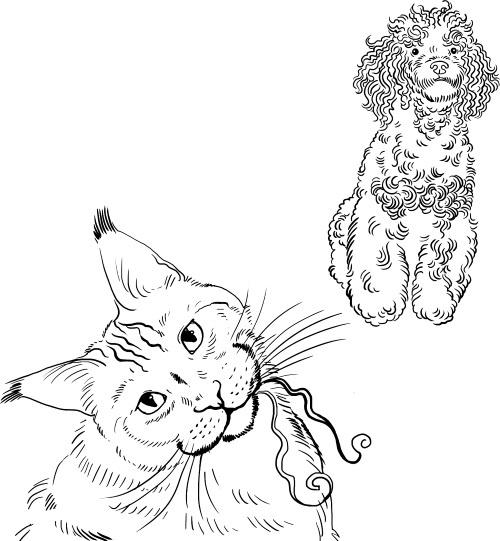 Иллюстрация к книге — О людях, котах и маленьких собаках [i_031.jpg]