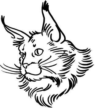 Иллюстрация к книге — О людях, котах и маленьких собаках [i_034.jpg]