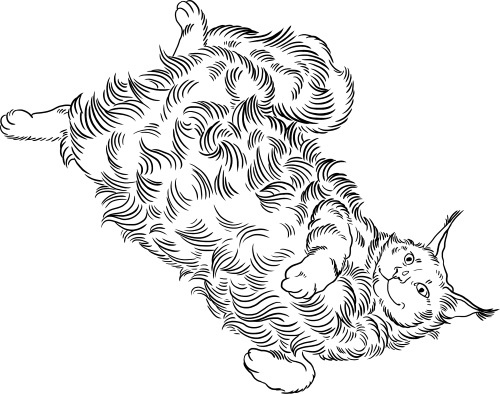 Иллюстрация к книге — О людях, котах и маленьких собаках [i_035.jpg]