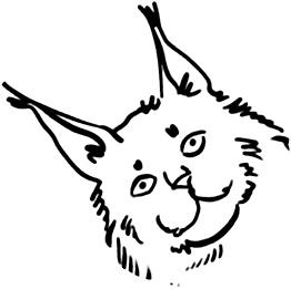 Иллюстрация к книге — О людях, котах и маленьких собаках [i_041.jpg]