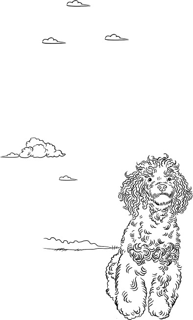 Иллюстрация к книге — О людях, котах и маленьких собаках [i_044.jpg]