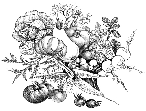 Иллюстрация к книге — Самая полная книга разумно ленивого дачника. Секреты легкого урожая [i_008.jpg]