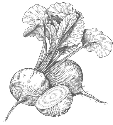 Иллюстрация к книге — Самая полная книга разумно ленивого дачника. Секреты легкого урожая [i_010.jpg]