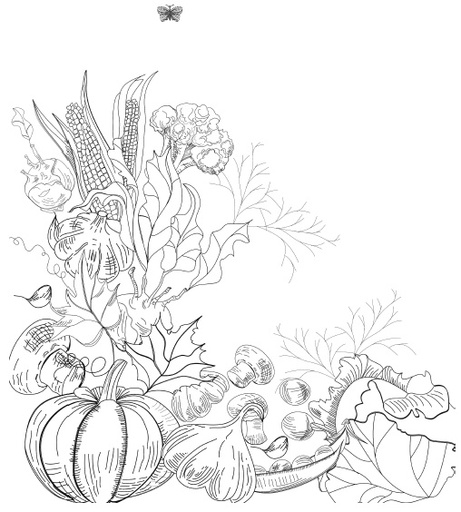 Иллюстрация к книге — Самая полная книга разумно ленивого дачника. Секреты легкого урожая [i_020.jpg]