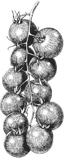 Иллюстрация к книге — Самая полная книга разумно ленивого дачника. Секреты легкого урожая [i_021.jpg]