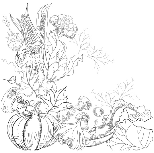 Иллюстрация к книге — Самая полная книга разумно ленивого дачника. Секреты легкого урожая [i_031.jpg]