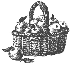 Иллюстрация к книге — Самая полная книга разумно ленивого дачника. Секреты легкого урожая [i_033.jpg]