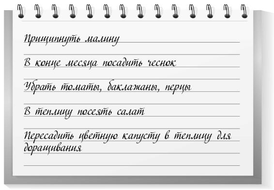 Иллюстрация к книге — Самая полная книга разумно ленивого дачника. Секреты легкого урожая [i_041.jpg]