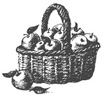 Иллюстрация к книге — Самая полная книга разумно ленивого дачника. Секреты легкого урожая [i_046.jpg]