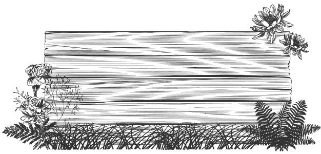 Иллюстрация к книге — Самая полная книга разумно ленивого дачника. Секреты легкого урожая [i_063.jpg]