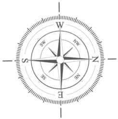 Иллюстрация к книге — Самая полная книга разумно ленивого дачника. Секреты легкого урожая [i_066.jpg]