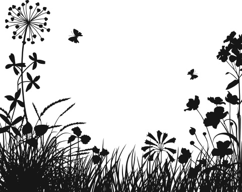 Иллюстрация к книге — Самая полная книга разумно ленивого дачника. Секреты легкого урожая [i_081.jpg]