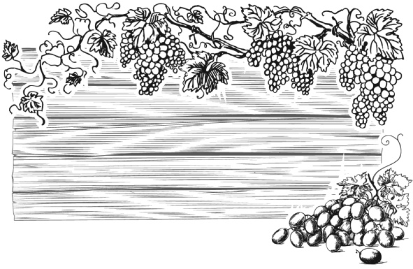 Иллюстрация к книге — Самая полная книга разумно ленивого дачника. Секреты легкого урожая [i_093.jpg]