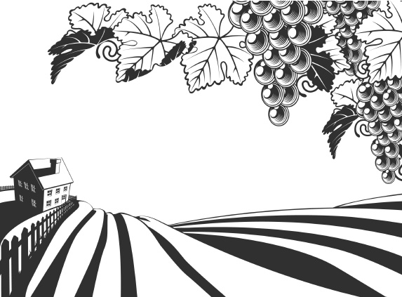 Иллюстрация к книге — Самая полная книга разумно ленивого дачника. Секреты легкого урожая [i_096.jpg]