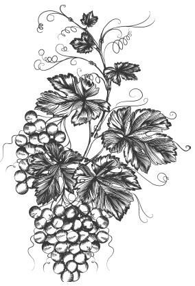 Иллюстрация к книге — Самая полная книга разумно ленивого дачника. Секреты легкого урожая [i_107.jpg]