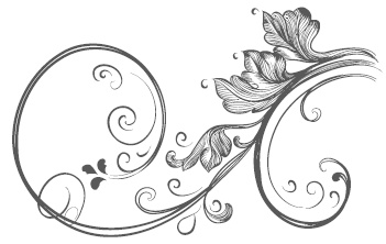 Иллюстрация к книге — Самая полная книга разумно ленивого дачника. Секреты легкого урожая [i_125.jpg]