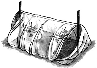 Иллюстрация к книге — Самая полная книга разумно ленивого дачника. Секреты легкого урожая [i_144.jpg]