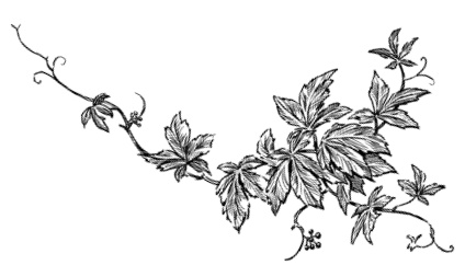 Иллюстрация к книге — Самая полная книга разумно ленивого дачника. Секреты легкого урожая [i_148.jpg]