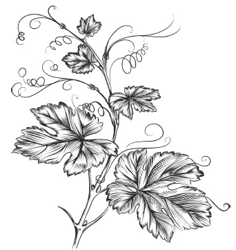 Иллюстрация к книге — Самая полная книга разумно ленивого дачника. Секреты легкого урожая [i_155.jpg]