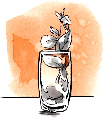 Иллюстрация к книге — Drinks. Практический путеводитель. Крепкий алкоголь. Коктейли. Вино &amp; пиво [i_028.jpg]