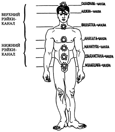 Иллюстрация к книге — Живая пища. Сыроедение: энергетика, психология [i_002.jpg]