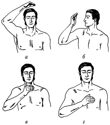 Иллюстрация к книге — Живая пища. Сыроедение: энергетика, психология [i_007.jpg]