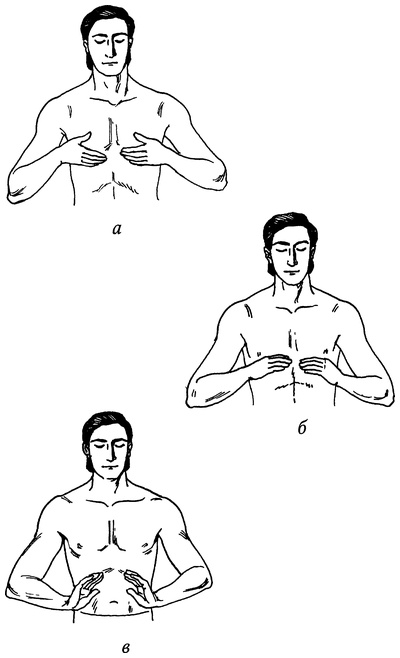 Иллюстрация к книге — Живая пища. Сыроедение: энергетика, психология [i_009.jpg]