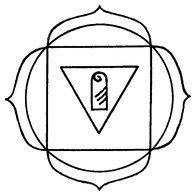 Иллюстрация к книге — Живая пища. Сыроедение: энергетика, психология [i_010.jpg]