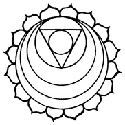 Иллюстрация к книге — Живая пища. Сыроедение: энергетика, психология [i_014.jpg]