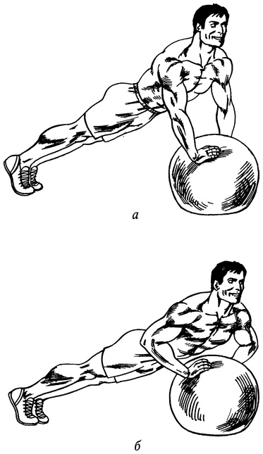 Иллюстрация к книге — Живая пища. Сыроедение: энергетика, психология [i_018.jpg]