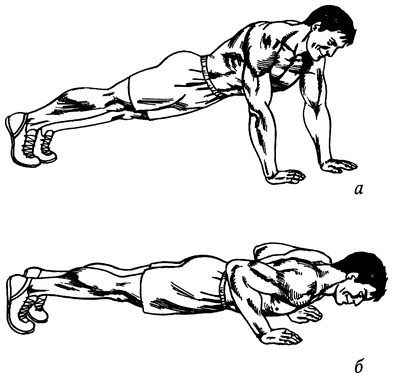 Иллюстрация к книге — Живая пища. Сыроедение: энергетика, психология [i_019.jpg]