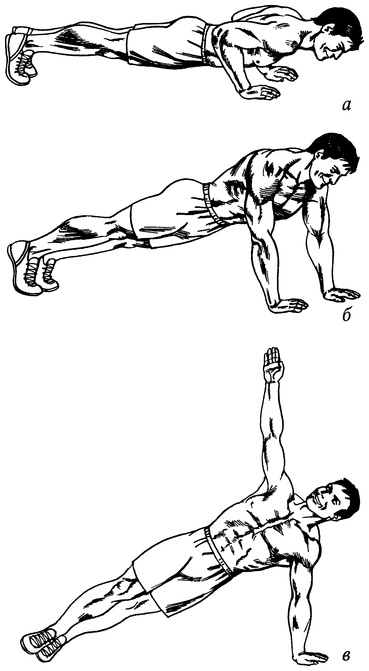 Иллюстрация к книге — Живая пища. Сыроедение: энергетика, психология [i_020.jpg]