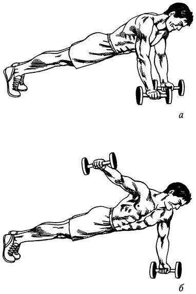 Иллюстрация к книге — Живая пища. Сыроедение: энергетика, психология [i_022.jpg]