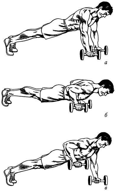 Иллюстрация к книге — Живая пища. Сыроедение: энергетика, психология [i_023.jpg]